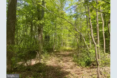 4740 Ford Fields Road, Myersville, MD 21773 - Photo 136