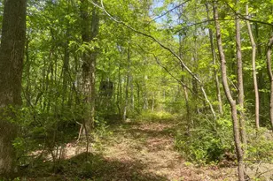 4740 Ford Fields Rd, Myersville, MD 21773 - Photo 136