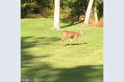 4740 Ford Fields Road, Myersville, MD 21773 - Photo 146