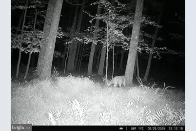 4740 Ford Fields Road, Myersville, MD 21773 - Photo 142