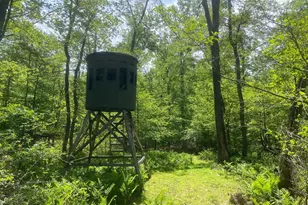 4740 Ford Fields Rd, Myersville, MD 21773 - Photo 128