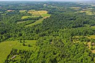 11035 Bennie Duncan Rd, Frederick, MD 21701 - Photo 76