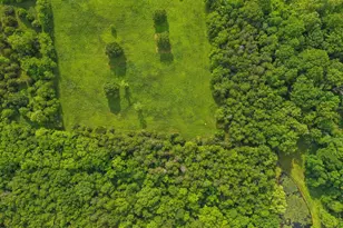 11035 Bennie Duncan Rd, Frederick, MD 21701 - Photo 72