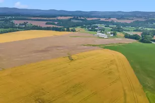 6208 Picnic Woods, Jefferson, MD 21755 - Photo 6