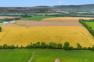 6208 Picnic Woods, Jefferson, MD 21755 - Photo 4