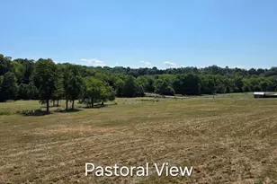 3150 Bidle Rd, Middletown, MD 21769 - Photo 8