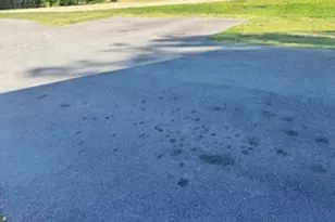 7792 Old Receiver Rd, Frederick, MD 21702 - Photo 46