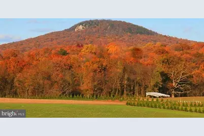 7508 Banner Road, Dickerson, MD 20842 - Photo 78