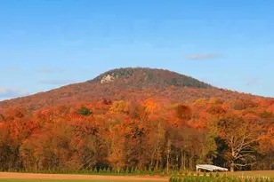 7508 Banner Rd, Dickerson, MD 20842 - Photo 78