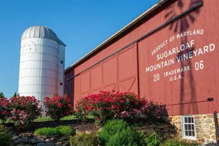 7508 Banner Rd, Dickerson, MD 20842 - Photo 84