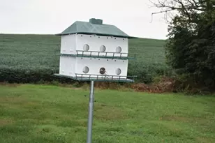 5619 Jefferson Pike, Frederick, MD 21703 - Photo 12