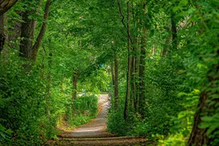 3028 Jacobs Garden Ln, Frederick, MD 21701 - Photo 72