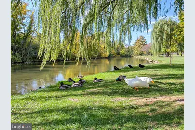 35 E All Saints Street #111, Frederick, MD 21701 - Photo 86