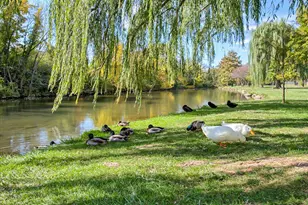 35 E All Saints St, Frederick, MD 21701 - Photo 86