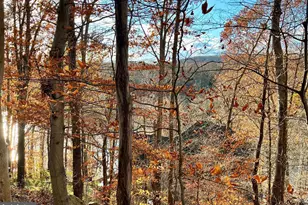 6705 W Lakeridge Rd, New Market, MD 21774 - Photo 106