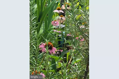 1589 Carey Place, Frederick, MD 21701 - Photo 36