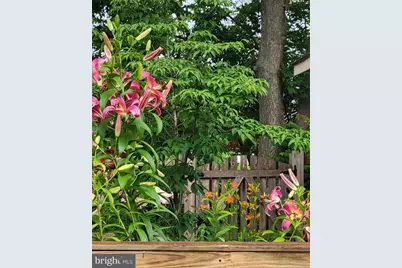 1589 Carey Place, Frederick, MD 21701 - Photo 30