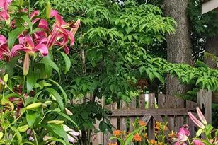 1589 Carey Pl, Frederick, MD 21701 - Photo 30