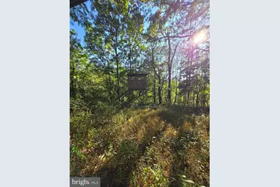 10543 Woodsboro Road, Woodsboro, MD 21798 - Photo 104