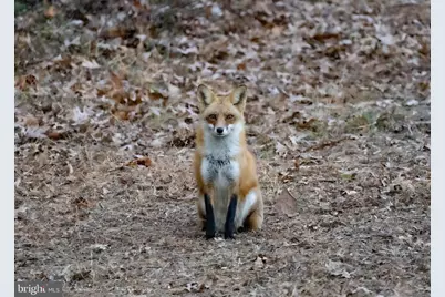 10543 Woodsboro Road, Woodsboro, MD 21798 - Photo 118