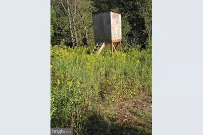 10543 Woodsboro Road, Woodsboro, MD 21798 - Photo 110