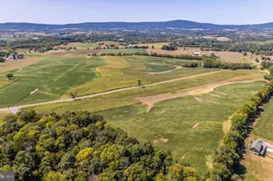 5916 Cloudberry Ct, Middletown, MD 21769 - Photo 4