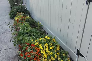 564 Hollyberry Way, Frederick, MD 21703 - Photo 22