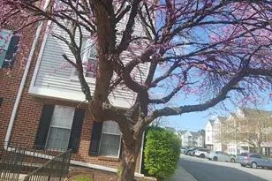 607 Himes Ave, Frederick, MD 21703 - Photo 26