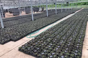 2730 Marker Rd, Middletown, MD 21769 - Photo 52