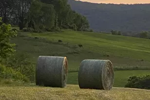 2730 Marker Rd, Middletown, MD 21769 - Photo 70