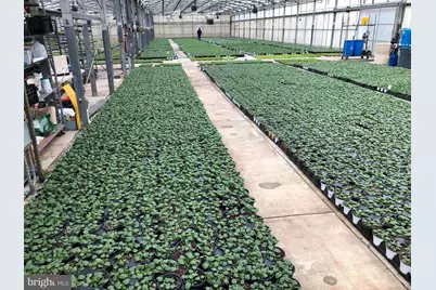 2730 Marker Road, Middletown, MD 21769 - Photo 54