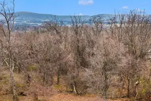 6933 Potomac Ave, Frederick, MD 21703 - Photo 34