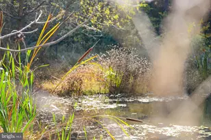 7144 Ira Sears Rd, Adamstown, MD 21710 - Photo 102