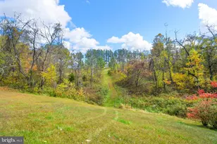 7144 Ira Sears Rd, Adamstown, MD 21710 - Photo 134