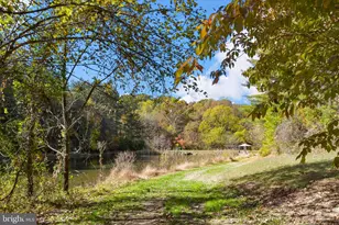 7144 Ira Sears Rd, Adamstown, MD 21710 - Photo 148