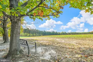 7144 Ira Sears Rd, Adamstown, MD 21710 - Photo 4