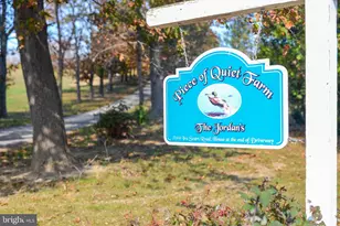 7144 Ira Sears Rd, Adamstown, MD 21710 - Photo 118