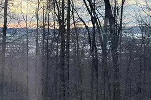 8939 Hawbottom Rd, Middletown, MD 21769 - Photo 72