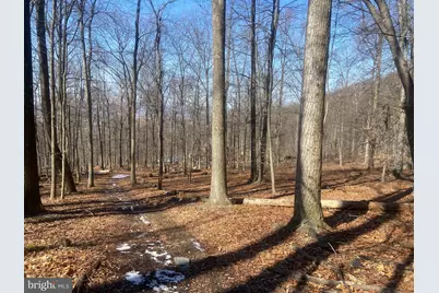 8939 Hawbottom Road, Middletown, MD 21769 - Photo 44