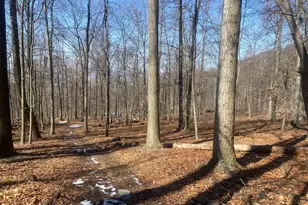 8939 Hawbottom Rd, Middletown, MD 21769 - Photo 44