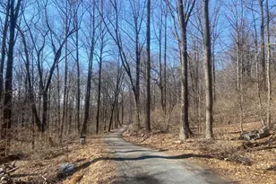 8939 Hawbottom Rd, Middletown, MD 21769 - Photo 52