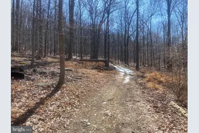 8939 Hawbottom Road, Middletown, MD 21769 - Photo 38