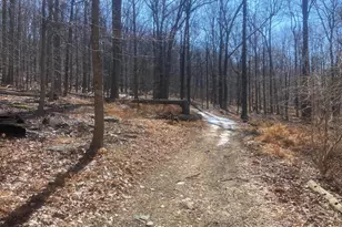 8939 Hawbottom Rd, Middletown, MD 21769 - Photo 38