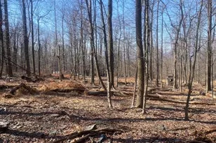 8939 Hawbottom Rd, Middletown, MD 21769 - Photo 48