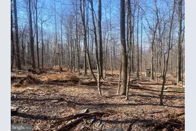 8939 Hawbottom Road, Middletown, MD 21769 - Photo 60