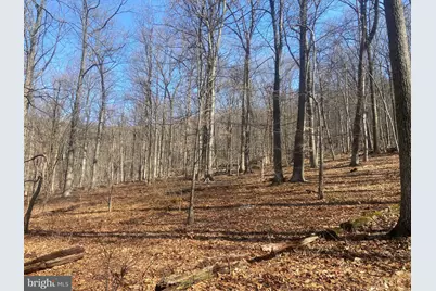 8939 Hawbottom Road, Middletown, MD 21769 - Photo 54
