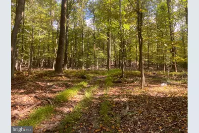 8939 Hawbottom Road, Middletown, MD 21769 - Photo 62