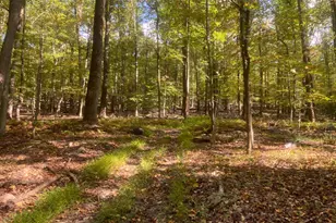 8939 Hawbottom Rd, Middletown, MD 21769 - Photo 62