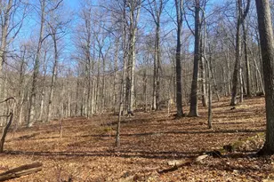 8939 Hawbottom Rd, Middletown, MD 21769 - Photo 42