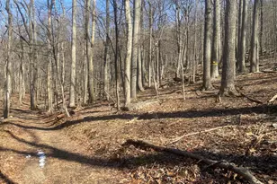 8939 Hawbottom Rd, Middletown, MD 21769 - Photo 46